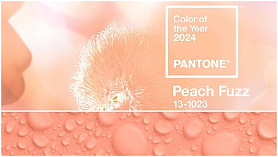 Pantone's Color of The Year 2024 Is Officially Here! Learn More About Peach Fuzz And Why It Was Chosen