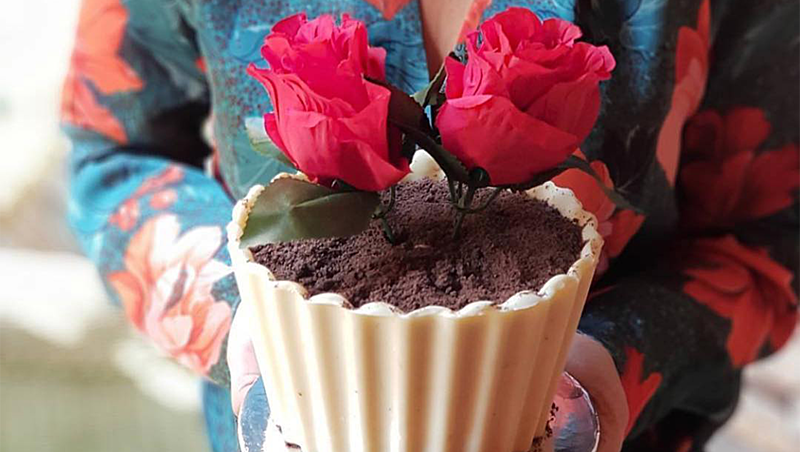 A Quick Dirt Cake Recipe That You Can Easily Do at Home