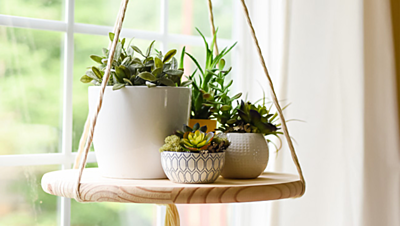 How to DIY Your Own Floating Plant Shelf Hassle-Free