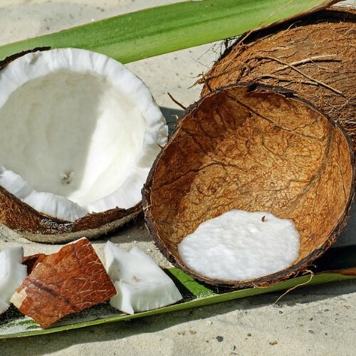 Coconut will keep your skin hydrated in Ramadan