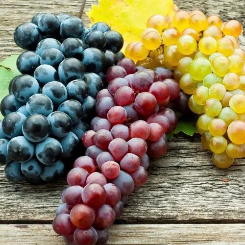 Grapes will keep your skin hydrated in Ramadan