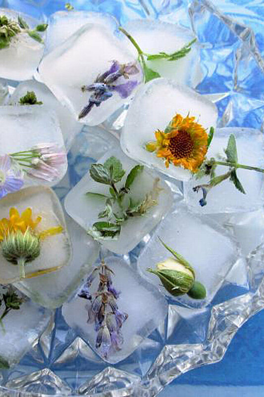 Creative Way to Decorate Ice Cubes