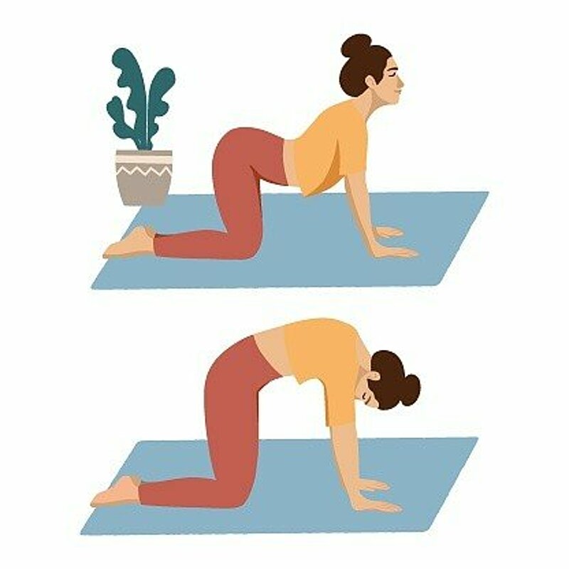 Flexibility exercises
