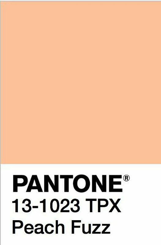 Pantone's Color of The Year 2024 Is Officially Here! Learn More About Peach Fuzz And Why It Was Chosen