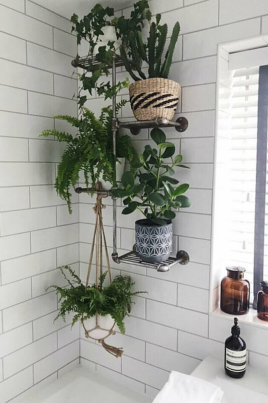 ٥ خطوات لتزيين حمام منزلك بالنباتات