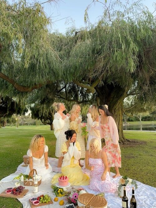 Host a Charming Picnic